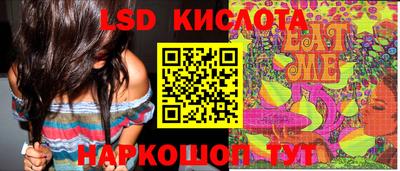 стаф Кулебаки