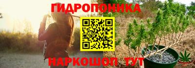 стаф Кулебаки